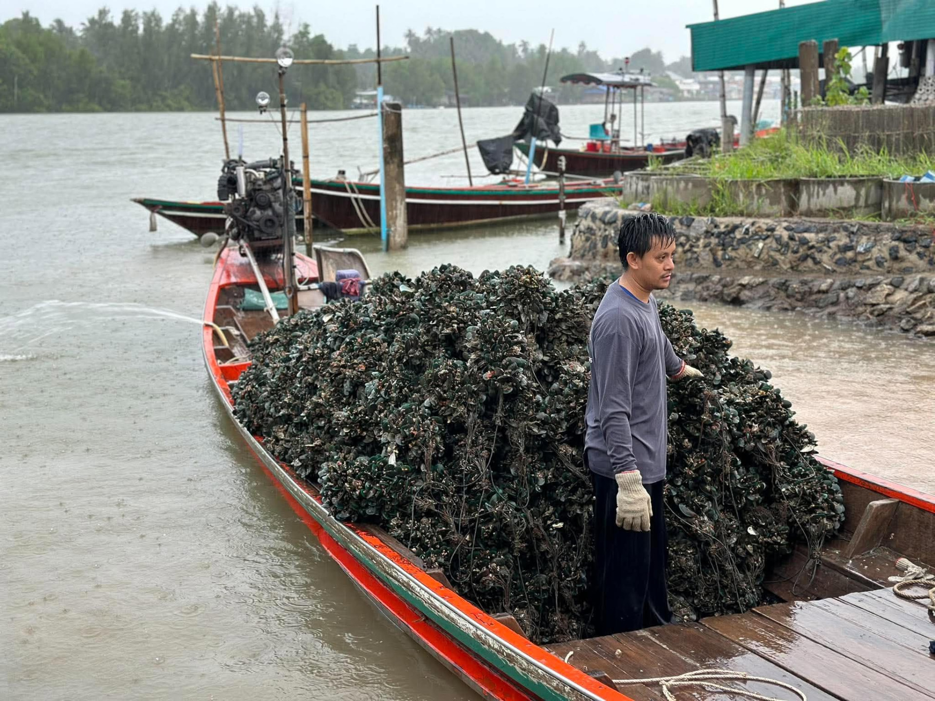 หอยนางรมกองบนเรือ พร้อมผู้ดูแลฟาร์ม